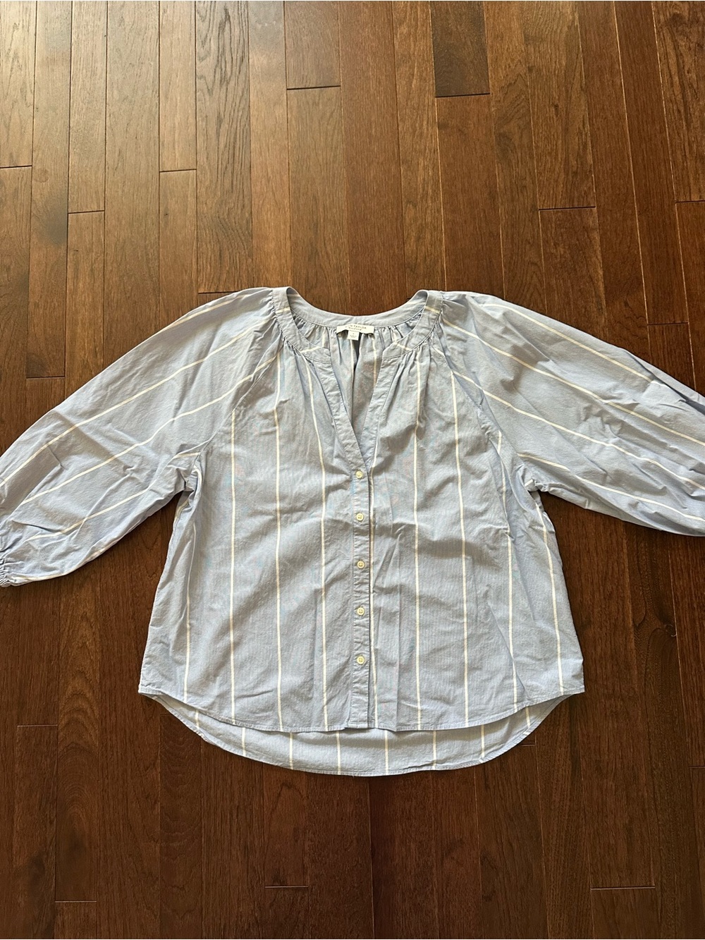 Ann Taylor Blue and White Striped Button-Front Blouse